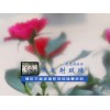 車載導航儀屏幕專用玻璃--豫科AG 玻璃