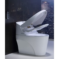 智能電腦坐便器DN023