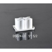 DS024