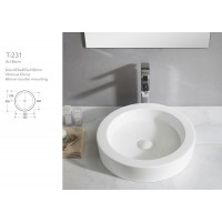 T-231