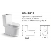 HM-T809