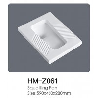 HM-Z061