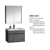 HM-G21